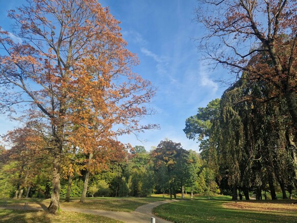 The Oaks Prague